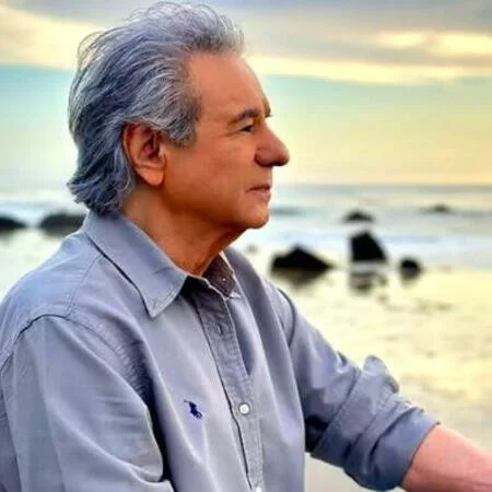 کاور «بگذر ز من ای آشنا»