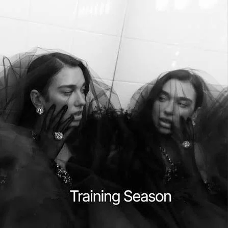 کاور «Training Season»