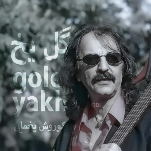 کاور «گل یخ»
